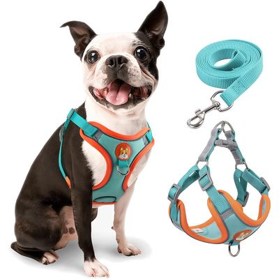 Harnais pour chien Anti - tir  Réglable Avec laisse Réfléchissant