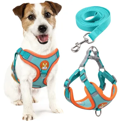 Harnais pour chien Anti - tir Réglable Avec laisse Réfléchissant Harnais pour chien Anti - tir Réglable Avec laisse Réfléchissant