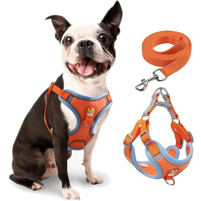 Harnais pour chien Anti - tir Réglable Avec laisse Réfléchissant Harnais pour chien Anti - tir Réglable Avec laisse Réfléchissant