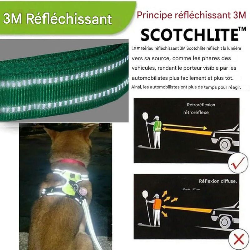 Petopia Harnais réfléchissant pour chien