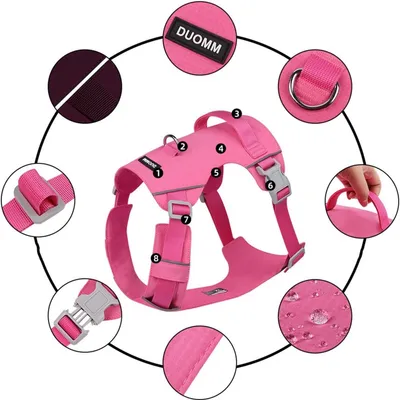 Petopia  Harnais et laisses pour chiens