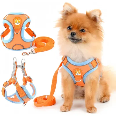 Harnais pour chien Anti - tir Réglable Avec laisse Réfléchissant Harnais pour chien Anti - tir Réglable Avec laisse Réfléchissant