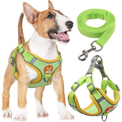 Harnais pour chien Anti - tir  Réglable Avec laisse Réfléchissant