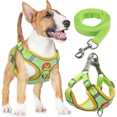 ZenPets Harnais pour chien Anti - tir  Réglable Avec laisse Réfléchissant