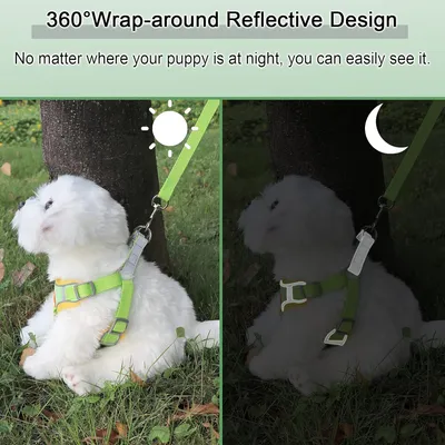 Harnais pour chien Anti - tir  Réglable Avec laisse Réfléchissant