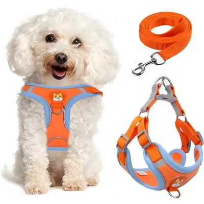 Harnais pour chien Anti - tir Réglable Avec laisse Réfléchissant Harnais pour chien Anti - tir Réglable Avec laisse Réfléchissant