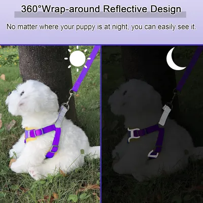 Harnais pour chien Anti - tir  Réglable Avec laisse Réfléchissant