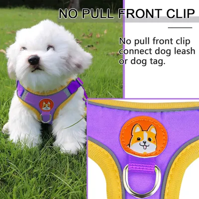 ZenPets Harnais pour chien Anti - tir  Réglable Avec laisse Réfléchissant