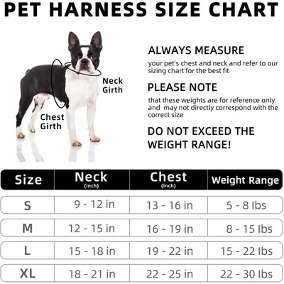 ZenPets Harnais pour chien Anti - tir  Réglable Avec laisse Réfléchissant