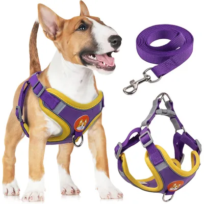 Harnais pour chien Anti - tir Réglable Avec laisse Réfléchissant Harnais pour chien Anti - tir Réglable Avec laisse Réfléchissant