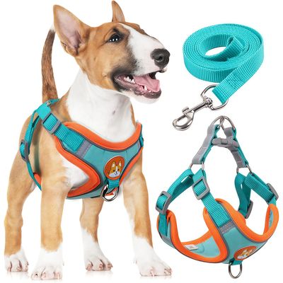 Harnais pour chien Anti - tir  Réglable Avec laisse Réfléchissant