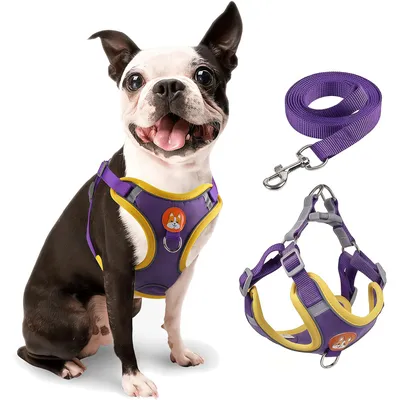 Harnais pour chien Anti - tir Réglable Avec laisse Réfléchissant Harnais pour chien Anti - tir Réglable Avec laisse Réfléchissant