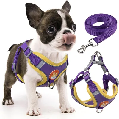 Harnais pour chien Anti - tir  Réglable Avec laisse Réfléchissant