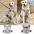 IntiMeg Harnais tactique pour chien en nylon 1000D