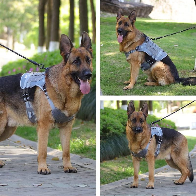 IntiMeg Harnais tactique pour chien en nylon 1000D