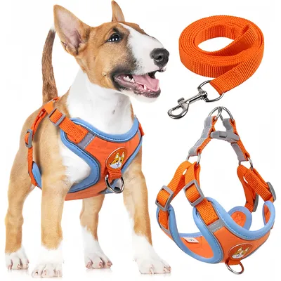 Harnais pour chien Anti - tir Réglable Avec laisse Réfléchissant Harnais pour chien Anti - tir Réglable Avec laisse Réfléchissant