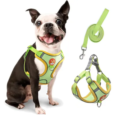 ZenPets Harnais pour chien Anti - tir  Réglable Avec laisse Réfléchissant
