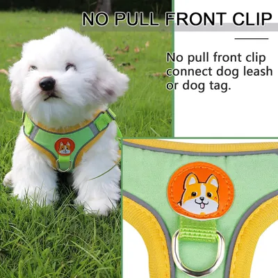 ZenPets Harnais pour chien Anti - tir  Réglable Avec laisse Réfléchissant
