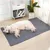 IntiMeg Tapis Educateur pour Chien