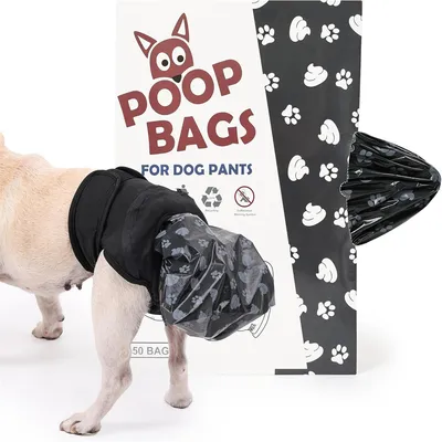 IntiMeg Pantalon de collecte de déjections canines