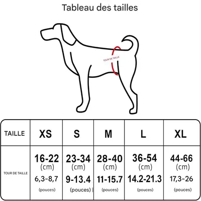 IntiMeg Pantalon de collecte de déjections canines