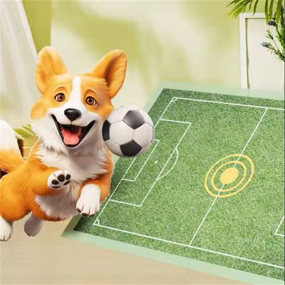 Pet Planet Pads d'urine pour chien et chat avec induction