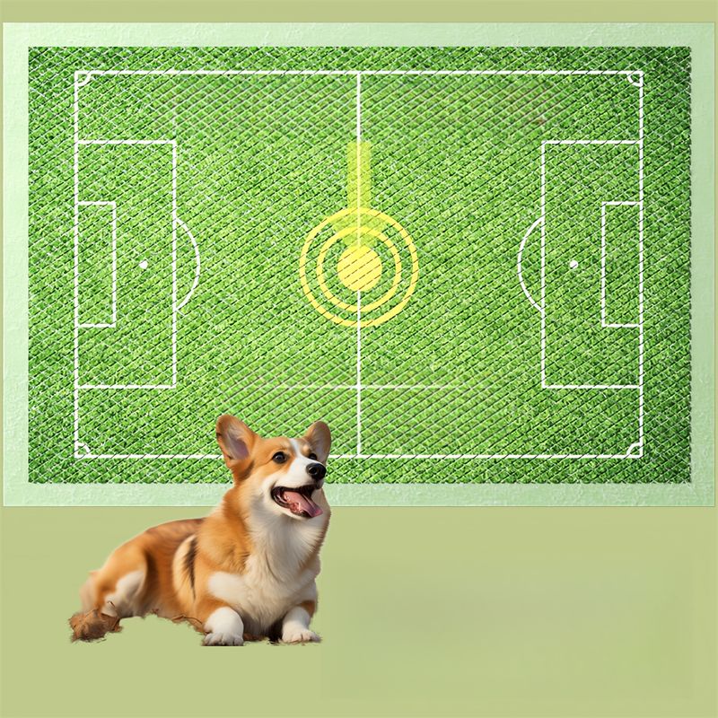 Pet Planet Pads d'urine pour chien et chat avec induction