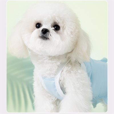 Pet Planet Robe d'été pour animaux de compagnie