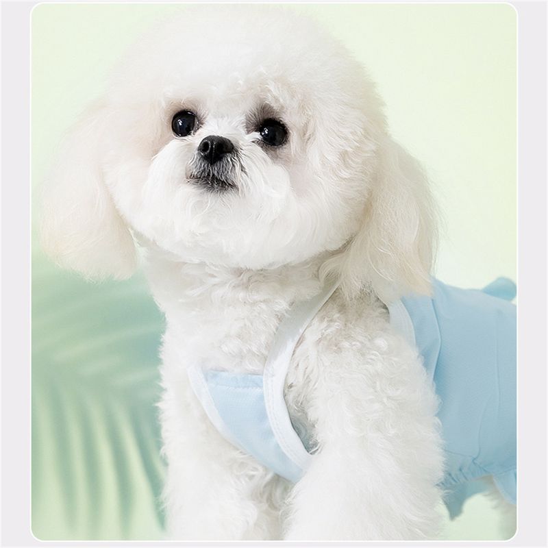 Pet Planet Robe d'été pour animaux de compagnie