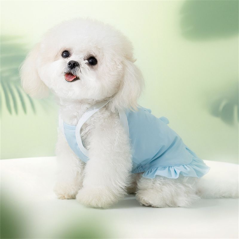 Pet Planet Robe d'été pour animaux de compagnie
