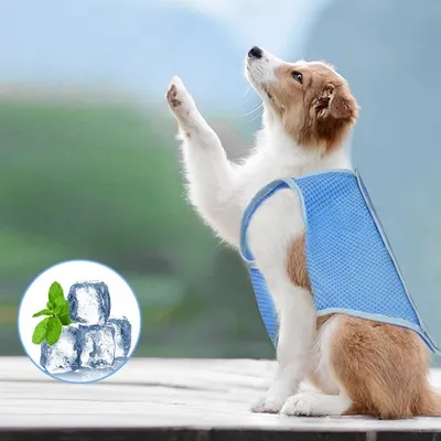 Petopia Abrigo refrescante para perros Petopia Abrigo refrescante para perros