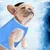 Petopia Abrigo refrescante para perros Petopia Abrigo refrescante para perros