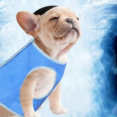 Petopia Abrigo refrescante para perros Petopia Abrigo refrescante para perros