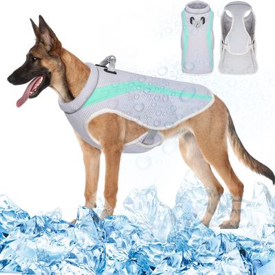IntiMeg Gilet de refroidissement pour chien
