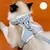 UAMLY Harnais pour Chat,Harnais Chat Anti évasion Ensemble