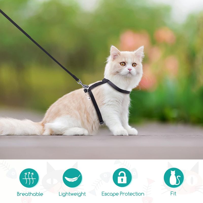 Harnais pour chat avec laisse