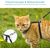 Harnais pour chat avec laisse