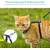 Harnais pour chat avec laisse