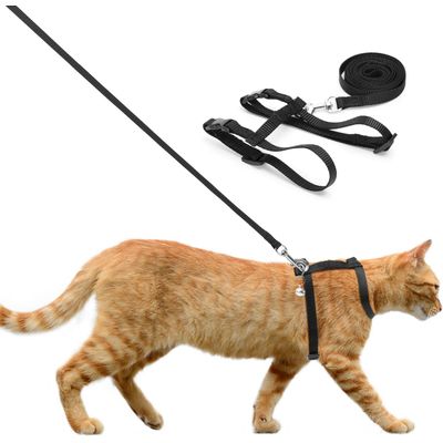 Harnais pour chat avec laisse