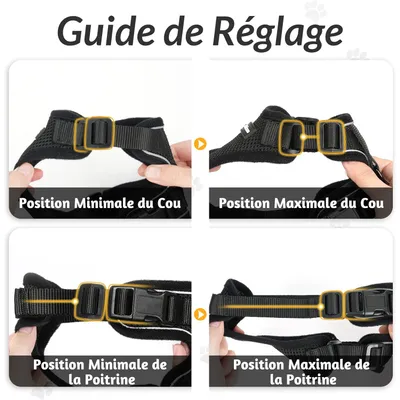 UAMLY Harnais et laisses réfléchissants pour chats( )