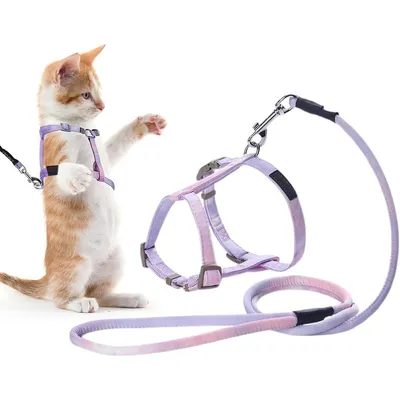 UAMLY Harnais pour chats Ensemble harnais, laisse et collier pour chat