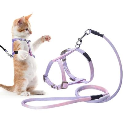 UAMLY Harnais pour chats Ensemble harnais, laisse et collier pour chat Violet