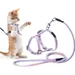UAMLY Harnais pour chats Ensemble harnais, laisse et collier pour chat