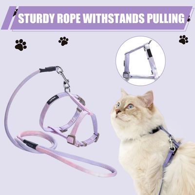 UAMLY Harnais pour chats Ensemble harnais, laisse et collier pour chat
