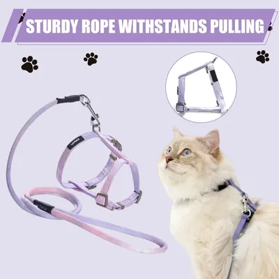 UAMLY Harnais pour chats Ensemble harnais, laisse et collier pour chat