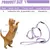 UAMLY Harnais pour chats Ensemble harnais, laisse et collier pour chat