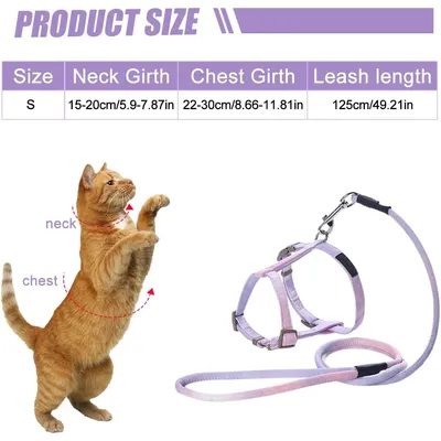 UAMLY Harnais pour chats Ensemble harnais, laisse et collier pour chat