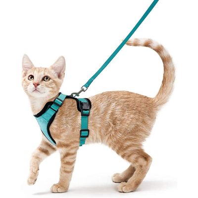 UAMLY Harnais et laisses réfléchissants pour chats(Vert)