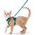 UAMLY Harnais et laisses réfléchissants pour chats(Vert)