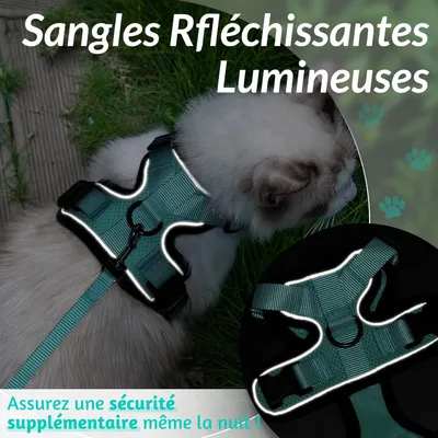 UAMLY Harnais et laisses réfléchissants pour chats(Vert)